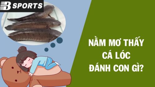 Nằm mơ thấy cá lóc chết Nằm mơ thấy cá lóc chết