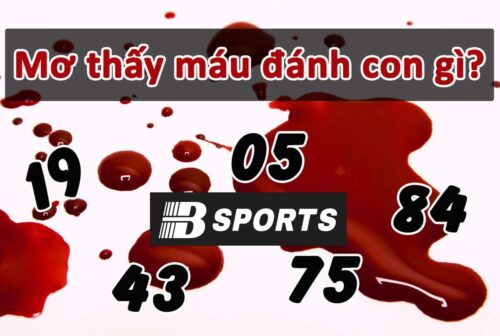 Mơ thấy máu đánh con gì để dễ trúng lô đề nhất? Mơ thấy máu đánh con gì để dễ trúng lô đề nhất?